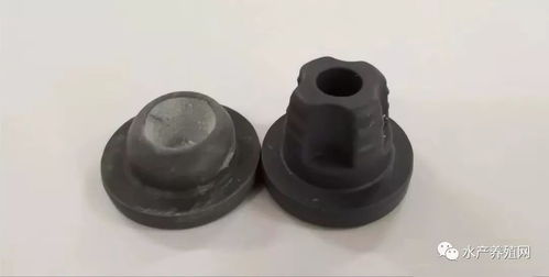 有公司在蛭弧菌冻干机上投入近百万,究竟是为了什么